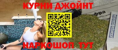 гидра Будённовск