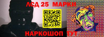 гидра Будённовск