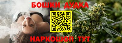 гидра Будённовск