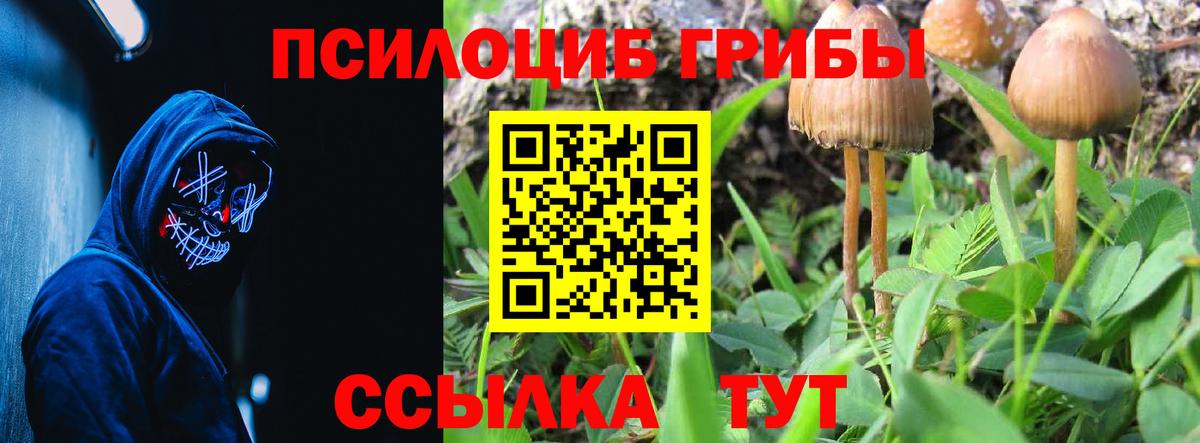 Галлюциногенные грибы Cubensis Югорск